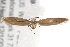  ( - BIOUG19084-A05)  @12 [ ] CreativeCommons - Attribution (2015) CBG Photography Group Centre for Biodiversity Genomics