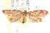 ( - BIOUG19084-B04)  @13 [ ] CreativeCommons - Attribution (2015) CBG Photography Group Centre for Biodiversity Genomics