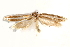  ( - BIOUG19084-B11)  @12 [ ] CreativeCommons - Attribution (2015) CBG Photography Group Centre for Biodiversity Genomics