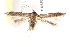  ( - BIOUG19084-D01)  @13 [ ] CreativeCommons - Attribution (2015) CBG Photography Group Centre for Biodiversity Genomics