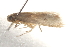  ( - BIOUG19084-H02)  @12 [ ] CreativeCommons - Attribution (2015) CBG Photography Group Centre for Biodiversity Genomics