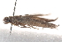  ( - BIOUG19291-B01)  @12 [ ] CreativeCommons - Attribution (2015) CBG Photography Group Centre for Biodiversity Genomics