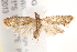  ( - BIOUG19291-F05)  @13 [ ] CreativeCommons - Attribution (2015) CBG Photography Group Centre for Biodiversity Genomics
