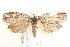  ( - BIOUG19292-B07)  @12 [ ] CreativeCommons - Attribution (2015) CBG Photography Group Centre for Biodiversity Genomics