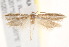  ( - BIOUG19292-E02)  @12 [ ] CreativeCommons - Attribution (2015) CBG Photography Group Centre for Biodiversity Genomics