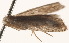  ( - BIOUG19292-G08)  @12 [ ] CreativeCommons - Attribution (2015) CBG Photography Group Centre for Biodiversity Genomics