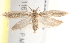  ( - BIOUG19293-B08)  @12 [ ] CreativeCommons - Attribution (2015) CBG Photography Group Centre for Biodiversity Genomics