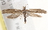  ( - BIOUG19367-D02)  @14 [ ] CreativeCommons - Attribution (2015) CBG Photography Group Centre for Biodiversity Genomics