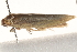  ( - BIOUG19367-G01)  @12 [ ] CreativeCommons - Attribution (2015) CBG Photography Group Centre for Biodiversity Genomics