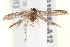  ( - BIOUG19385-A12)  @13 [ ] CreativeCommons - Attribution (2015) CBG Photography Group Centre for Biodiversity Genomics