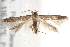  ( - BIOUG19385-B02)  @14 [ ] CreativeCommons - Attribution (2015) CBG Photography Group Centre for Biodiversity Genomics