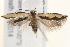  ( - BIOUG19385-E05)  @13 [ ] CreativeCommons - Attribution (2015) CBG Photography Group Centre for Biodiversity Genomics