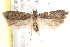  ( - BIOUG19451-A07)  @13 [ ] CreativeCommons - Attribution (2015) CBG Photography Group Centre for Biodiversity Genomics