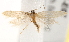  ( - BIOUG19451-E07)  @12 [ ] CreativeCommons - Attribution (2015) CBG Photography Group Centre for Biodiversity Genomics