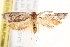  ( - BIOUG19451-H05)  @14 [ ] CreativeCommons - Attribution (2015) CBG Photography Group Centre for Biodiversity Genomics