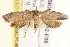  ( - BIOUG19452-E08)  @12 [ ] CreativeCommons - Attribution (2015) CBG Photography Group Centre for Biodiversity Genomics