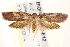  ( - BIOUG19452-E12)  @13 [ ] CreativeCommons - Attribution (2015) CBG Photography Group Centre for Biodiversity Genomics