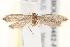  ( - BIOUG19452-F07)  @12 [ ] CreativeCommons - Attribution (2015) CBG Photography Group Centre for Biodiversity Genomics