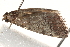  ( - BIOUG19452-G07)  @12 [ ] CreativeCommons - Attribution (2015) CBG Photography Group Centre for Biodiversity Genomics