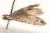  ( - BIOUG19452-H05)  @12 [ ] CreativeCommons - Attribution (2015) CBG Photography Group Centre for Biodiversity Genomics