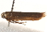  ( - BIOUG19527-D01)  @13 [ ] CreativeCommons - Attribution (2015) CBG Photography Group Centre for Biodiversity Genomics
