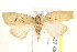  ( - BIOUG19527-G09)  @15 [ ] CreativeCommons - Attribution (2015) CBG Photography Group Centre for Biodiversity Genomics