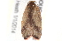  ( - BIOUG19453-A02)  @12 [ ] CreativeCommons - Attribution (2015) CBG Photography Group Centre for Biodiversity Genomics