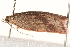  ( - BIOUG19453-A09)  @12 [ ] CreativeCommons - Attribution (2015) CBG Photography Group Centre for Biodiversity Genomics