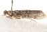  ( - BIOUG19453-D02)  @12 [ ] CreativeCommons - Attribution (2015) CBG Photography Group Centre for Biodiversity Genomics