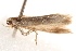  ( - BIOUG19453-D07)  @12 [ ] CreativeCommons - Attribution (2015) CBG Photography Group Centre for Biodiversity Genomics