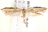  ( - BIOUG19528-B07)  @12 [ ] CreativeCommons - Attribution (2015) CBG Photography Group Centre for Biodiversity Genomics