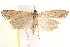  ( - BIOUG19528-C01)  @14 [ ] CreativeCommons - Attribution (2015) CBG Photography Group Centre for Biodiversity Genomics