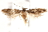  ( - BIOUG19528-F02)  @13 [ ] CreativeCommons - Attribution (2015) CBG Photography Group Centre for Biodiversity Genomics