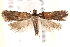  ( - BIOUG19528-F03)  @13 [ ] CreativeCommons - Attribution (2015) CBG Photography Group Centre for Biodiversity Genomics