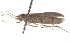  ( - BIOUG19647-A10)  @13 [ ] CreativeCommons - Attribution (2015) CBG Photography Group Centre for Biodiversity Genomics