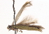  ( - BIOUG19647-C02)  @12 [ ] CreativeCommons - Attribution (2015) CBG Photography Group Centre for Biodiversity Genomics