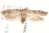  ( - BIOUG19647-D12)  @13 [ ] CreativeCommons - Attribution (2015) CBG Photography Group Centre for Biodiversity Genomics
