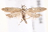  ( - BIOUG19648-C04)  @14 [ ] CreativeCommons - Attribution (2015) CBG Photography Group Centre for Biodiversity Genomics
