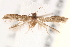  ( - BIOUG19648-C05)  @13 [ ] CreativeCommons - Attribution (2015) CBG Photography Group Centre for Biodiversity Genomics