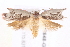  ( - BIOUG19648-G04)  @13 [ ] CreativeCommons - Attribution (2015) CBG Photography Group Centre for Biodiversity Genomics