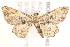  ( - BIOUG19648-H02)  @13 [ ] CreativeCommons - Attribution (2015) CBG Photography Group Centre for Biodiversity Genomics