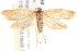  ( - BIOUG19649-C09)  @14 [ ] CreativeCommons - Attribution (2015) CBG Photography Group Centre for Biodiversity Genomics