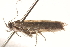  ( - BIOUG19649-G12)  @11 [ ] CreativeCommons - Attribution (2015) CBG Photography Group Centre for Biodiversity Genomics