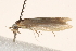  ( - BIOUG19650-D08)  @12 [ ] CreativeCommons - Attribution (2015) CBG Photography Group Centre for Biodiversity Genomics