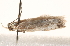  ( - BIOUG19650-D12)  @12 [ ] CreativeCommons - Attribution (2015) CBG Photography Group Centre for Biodiversity Genomics