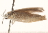  ( - BIOUG19650-E01)  @12 [ ] CreativeCommons - Attribution (2015) CBG Photography Group Centre for Biodiversity Genomics
