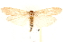  ( - BIOUG19650-H02)  @15 [ ] CreativeCommons - Attribution (2015) CBG Photography Group Centre for Biodiversity Genomics