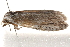  ( - BIOUG19651-B07)  @12 [ ] CreativeCommons - Attribution (2015) CBG Photography Group Centre for Biodiversity Genomics