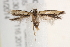  ( - BIOUG19651-D02)  @13 [ ] CreativeCommons - Attribution (2015) CBG Photography Group Centre for Biodiversity Genomics