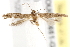  ( - BIOUG19651-G04)  @14 [ ] CreativeCommons - Attribution (2015) CBG Photography Group Centre for Biodiversity Genomics